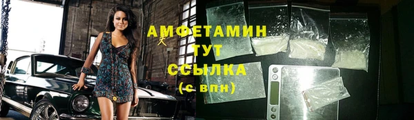 прущие грибы Гатчина