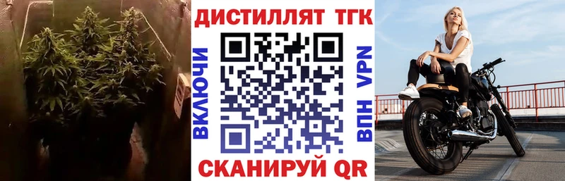 ТГК THC oil  kraken зеркало  Рыльск 