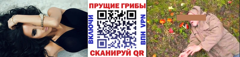 OMG сайт  Рыльск  Псилоцибиновые грибы MAGIC MUSHROOMS 
